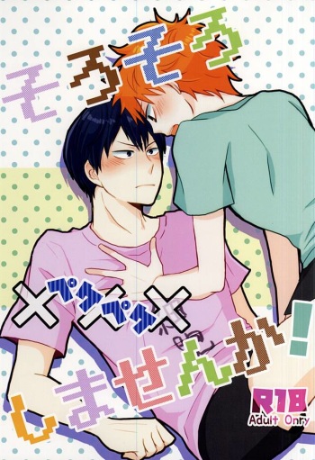 (RTS!!5) [Palin (Hirano)] そろそろ×××しませんか! (Haikyuu!!) cover