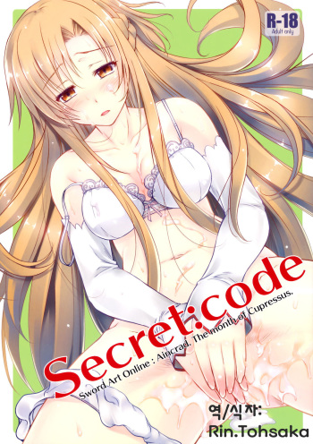 (CT20) [Kaiki Nisshoku (Ayano Naoto)] Secret:code (Sword Art Online) [korean] cover