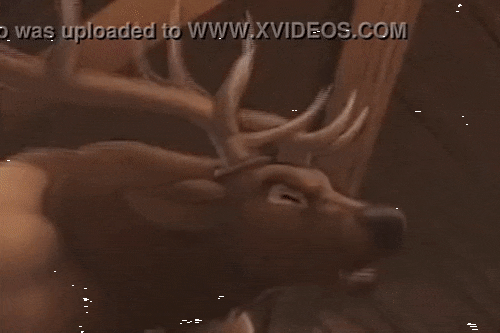 Elk Bar page 10 full