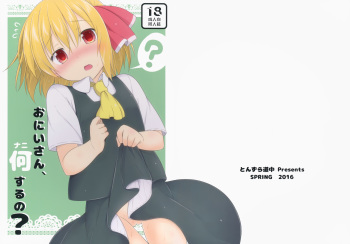 (Reitaisai 13) [Tonzura Douchuu (Kazawa)] Onii-san, Nani Suru no? (Touhou Project) cover