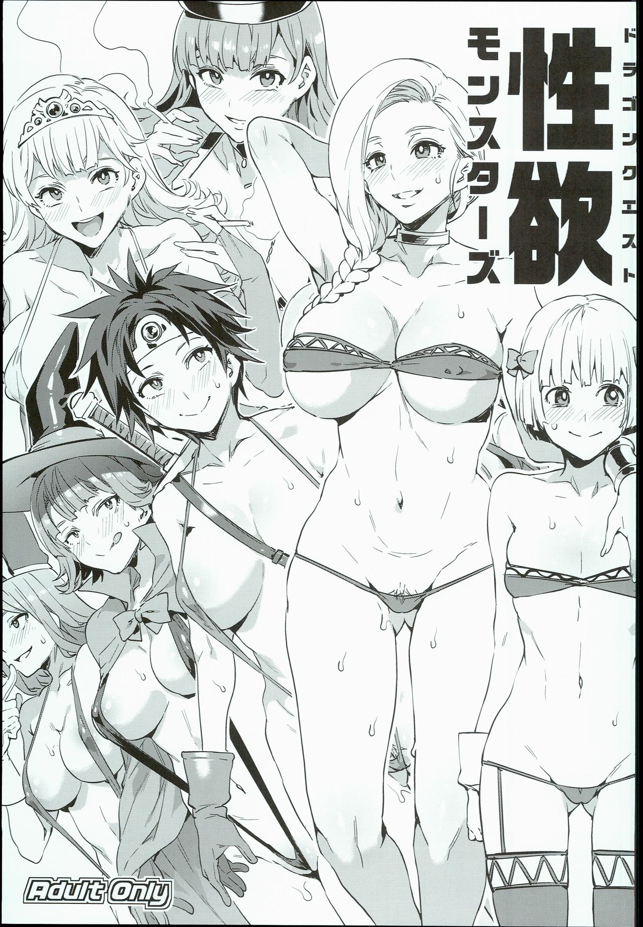 Dragon Quest Seiyoku Monsters page 1 full