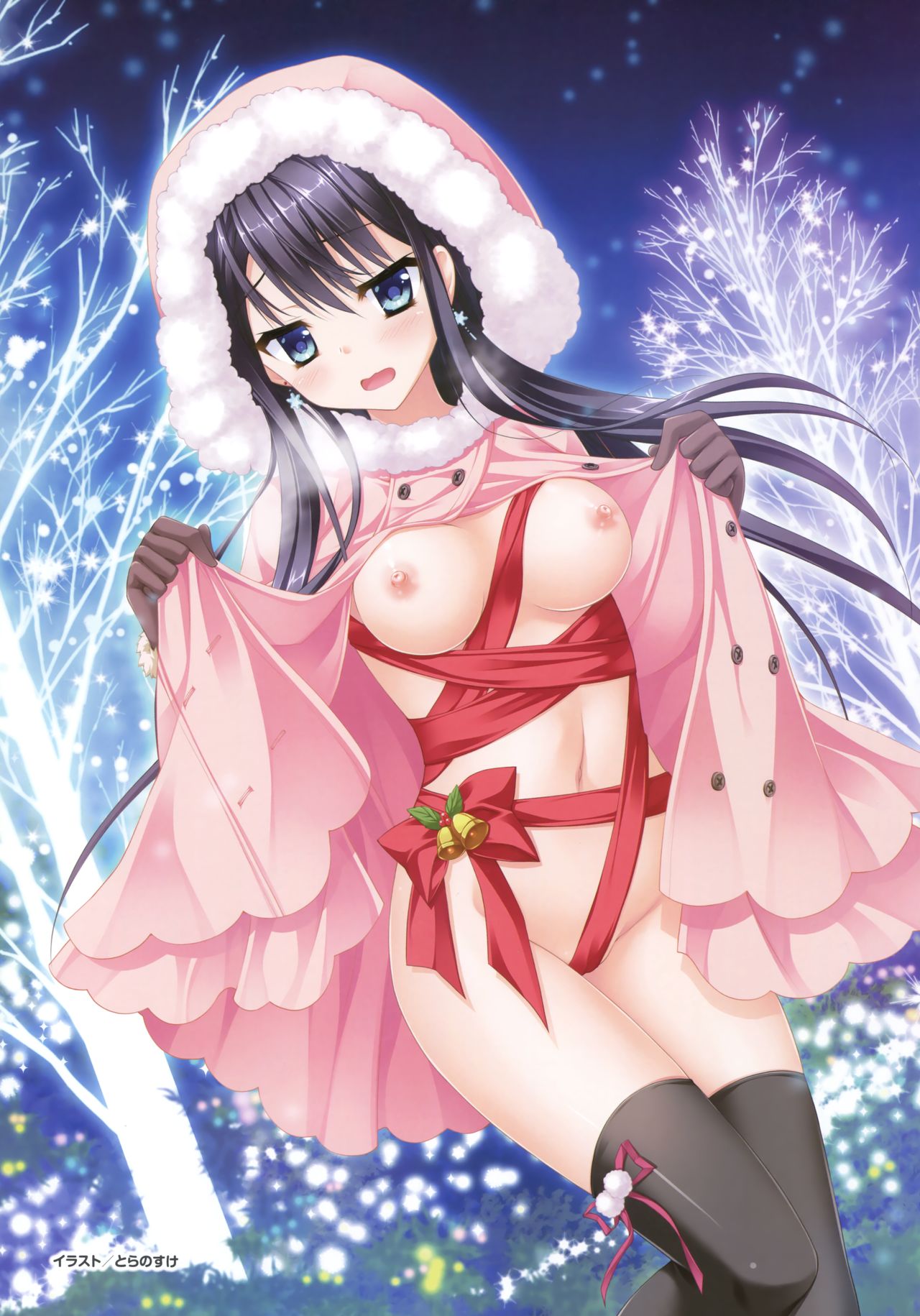 Denkigai Matsuri 2016 Winter page 12 full