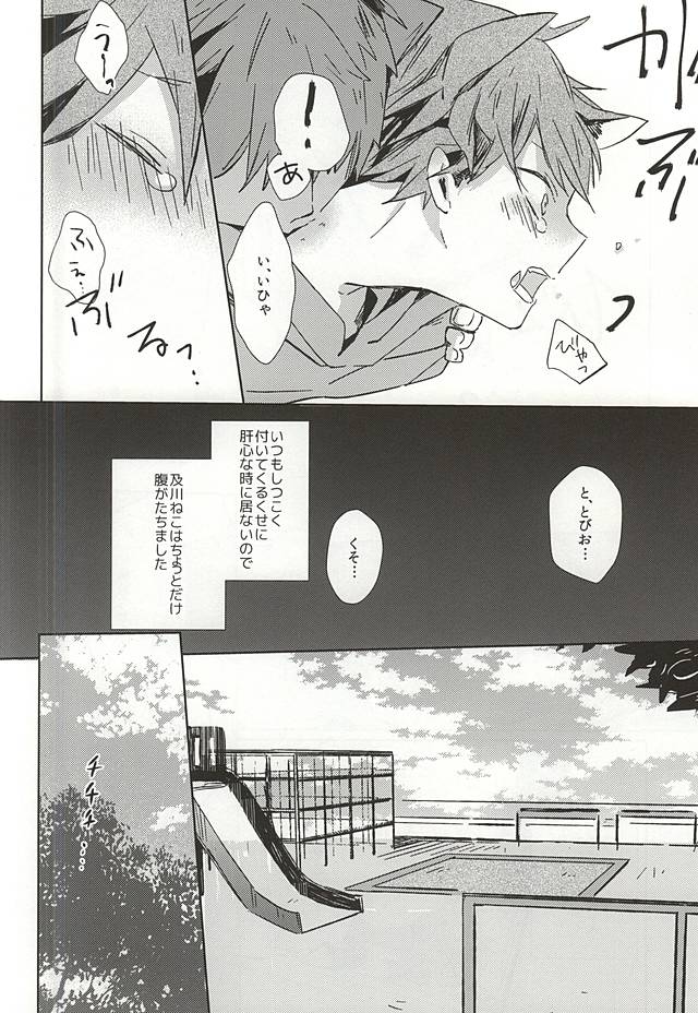 Neko ni Natta Oikawa-san page 11 full