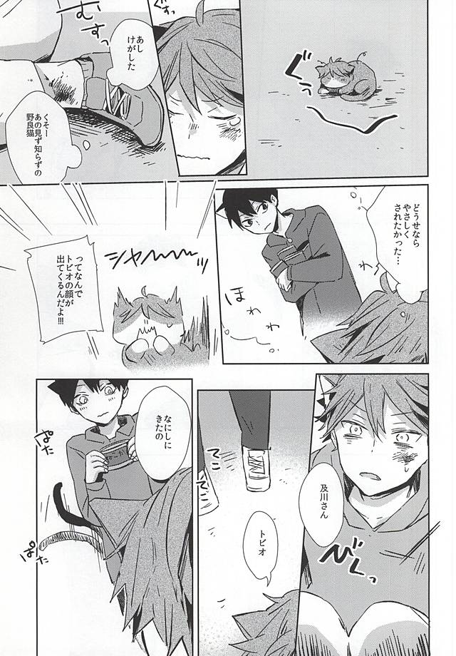 Neko ni Natta Oikawa-san page 12 full