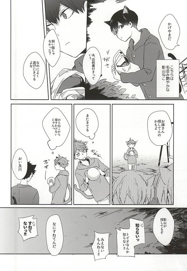 Neko ni Natta Oikawa-san page 3 full