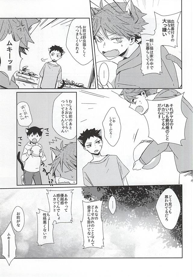 Neko ni Natta Oikawa-san page 4 full