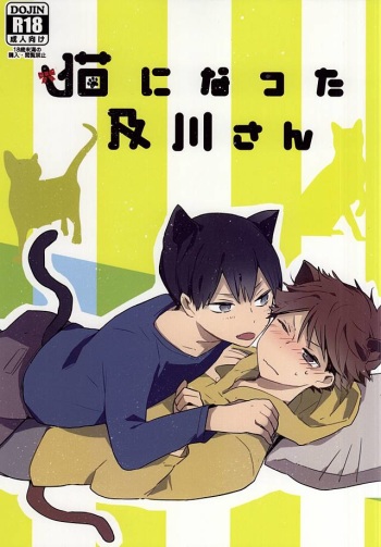 (RTS!!5) [Shounen-H (Yuuki)] Neko ni Natta Oikawa-san (Haikyuu!!) cover