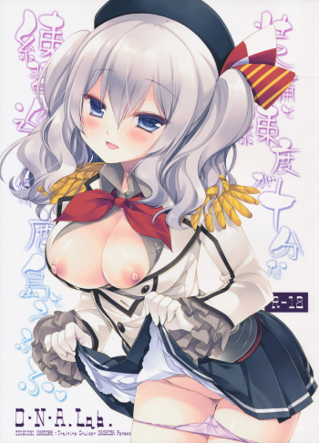 (C89) [D.N.A.Lab. (Miyasu Risa)] Soubi to Rendo ga Juubun na Renshuu Junyoukan Kashima to Ufufu (Kantai Collection -KanColle-) cover