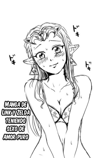 [Wasabi] Link to Zelda ga Jun Ai Ecchi suru Manga (The Legend Of Zelda) [Spanish] =Mr.MPD= cover