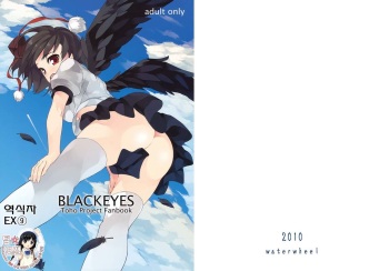 (Reitaisai 7) [waterwheel (Shirota Dai)] BLACKEYES (Touhou Project) [Korean] [팀☆면갤] cover