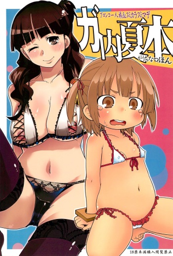 (C78) [Bronco Hitoritabi, Sumi kara Sumi made (Uchi Uchi Keyaki, Gabyo Nuno) GaUchi Natsu Hon (Mitsudomoe) cover