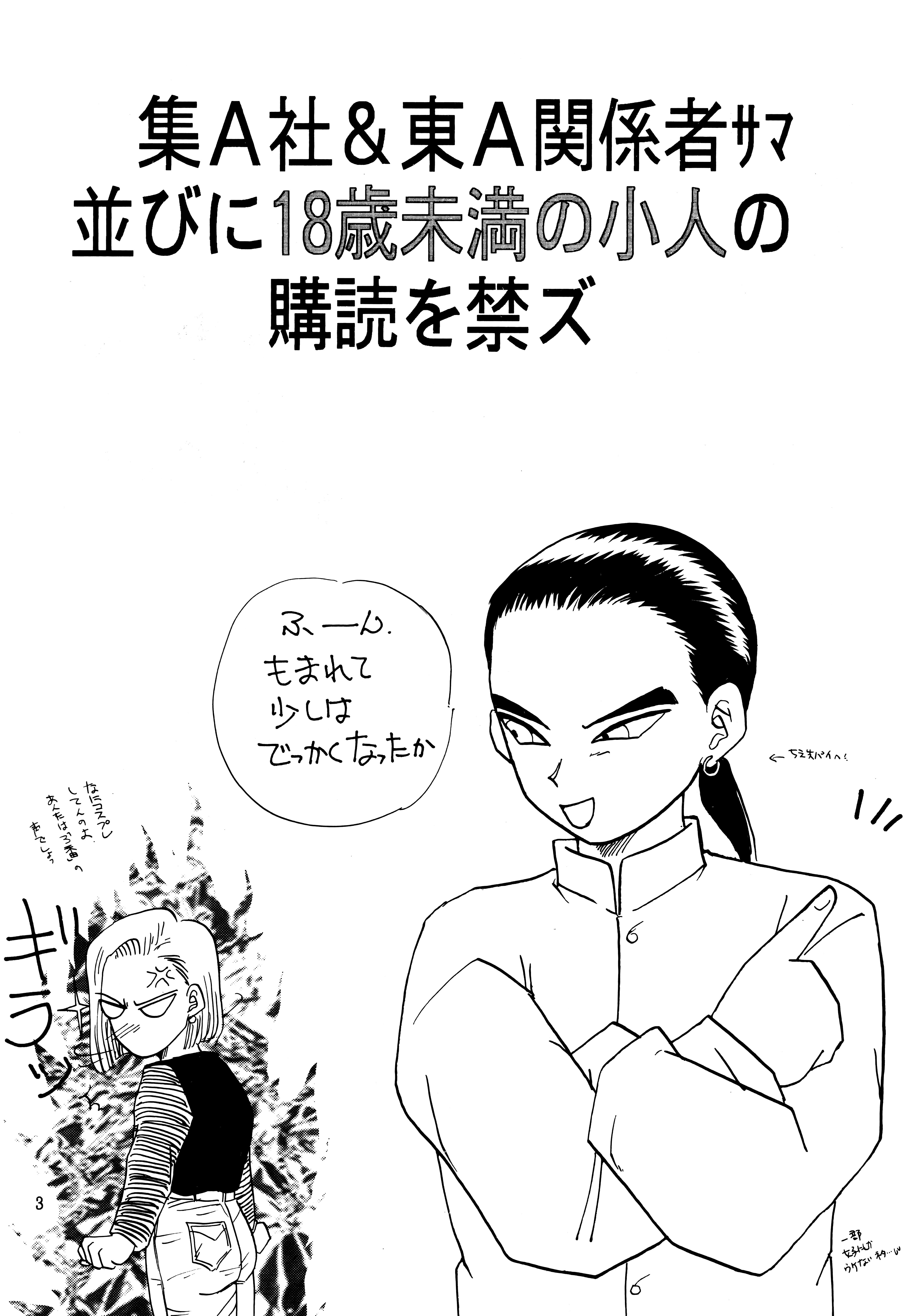 Z page 3 full