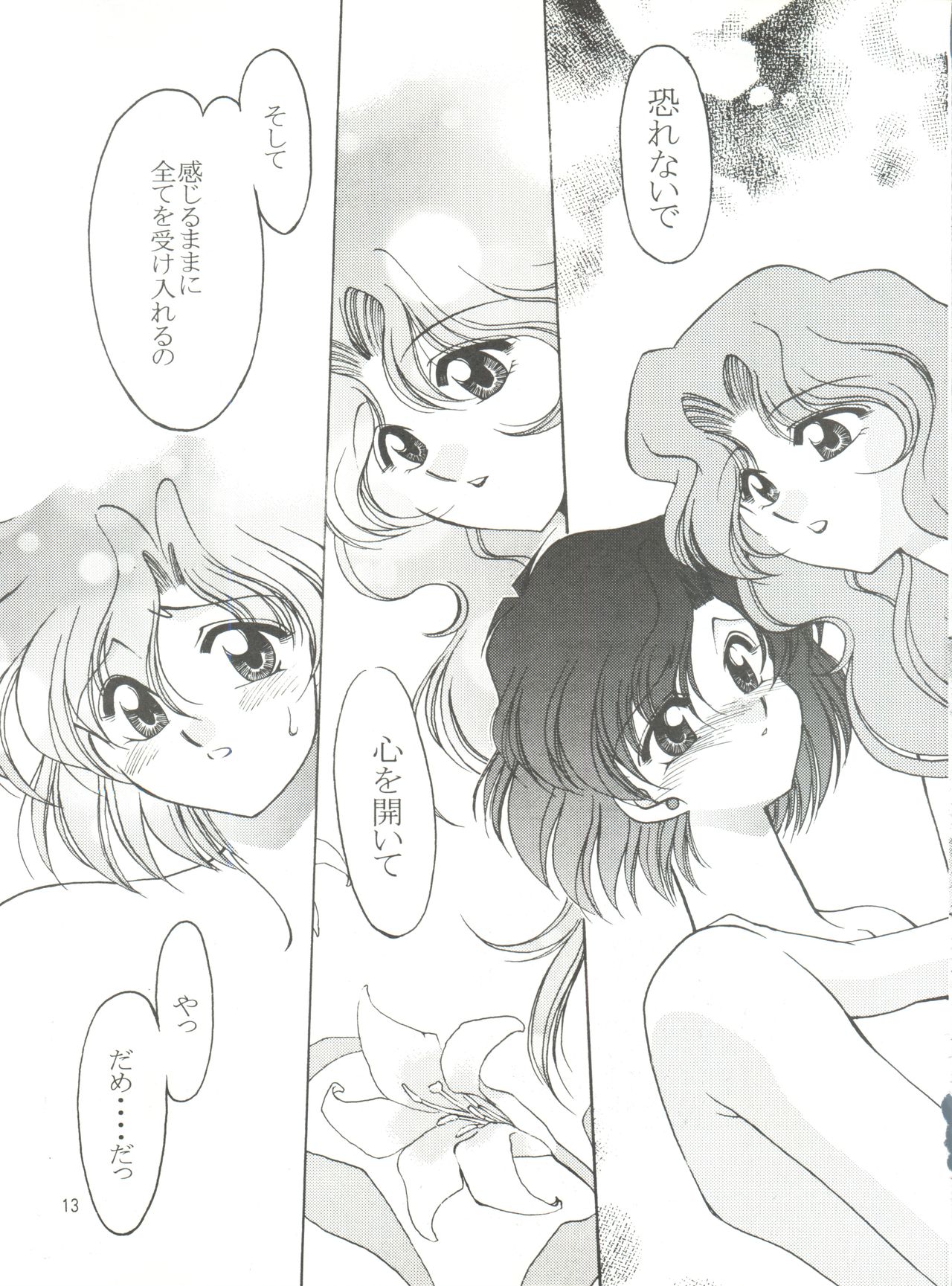 Rose Water 5 Rose Hip page 12 full
