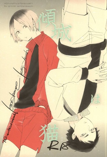 (SPARK10) [spinner (Ishigami Nie)] Keisei wa Neko (Haikyuu!!) cover