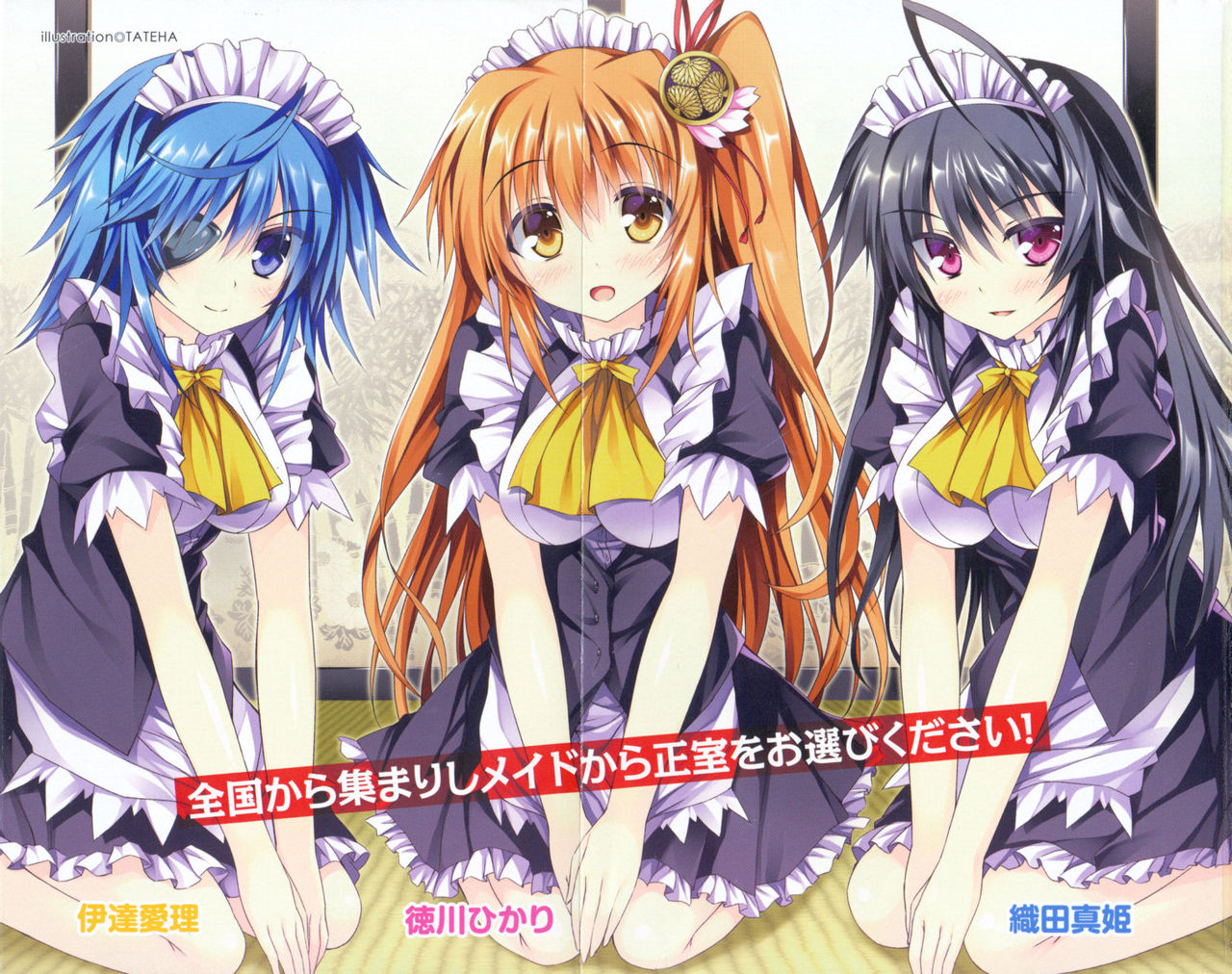 Tenka Touitsu! Maid Senshuken page 11 full