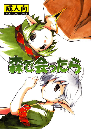 [Zukaishiki (Kaito Shirou)] Mori de Attara [English] [Shotachan] [Decensored] cover