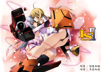 (COMIC1☆5) [RYU-SEKI-DO (Nagare Hyo-go)] LS Lovers-Striker II (IS <Infinite Stratos>) [Korean] [Team Arcana] cover