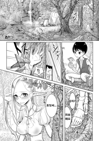 [Dhibi] Elf-mura Gikai Koushiki Sakusei Manual (2D Comic Magazine Ishukan Haramase Bakemono Seieki de Shikyuu o Mitasareru Onna-tachi Vol. 2) [Korean] [Digital] cover
