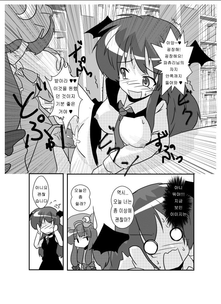 Touhou TS Monogatari ~Koakuma Hen~ page 12 full