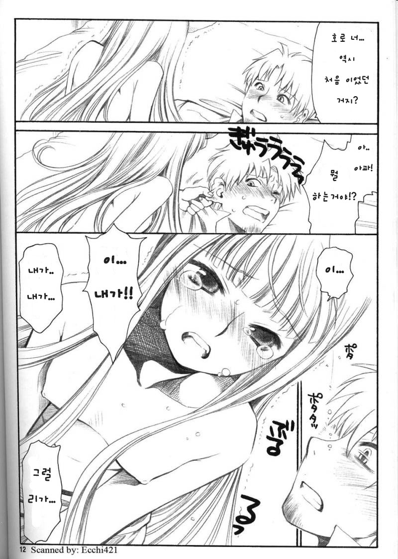 Shiawase o Ushinau Naraba Kinyoku Nado Gu no Kocchou | 행복을 잃는 금욕 같은건 바보 같은 짓 page 11 full