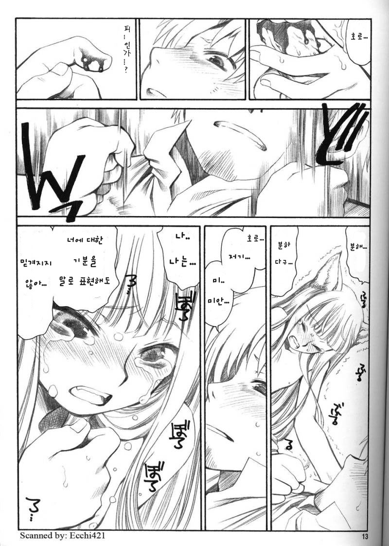 Shiawase o Ushinau Naraba Kinyoku Nado Gu no Kocchou | 행복을 잃는 금욕 같은건 바보 같은 짓 page 12 full