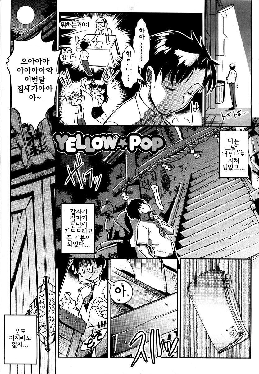 YELLOW★POP page 11 full