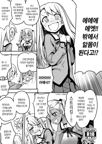 (C91) [774 House (774)] C91 Kaijou Genteibon (Fate/kaleid liner Prisma Illya) [Korean] cover