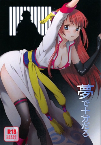 (Kabukichou Daishuukai) [S-FLAKE (Yukimitsu)] Yume de Juubundaro (Gintama) cover