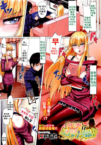 [Nyamota] Niizuma wa Elf-jjou | 내 아내는 엘프 ♪ (COMIC Megastore 2011-04) [Korean] cover