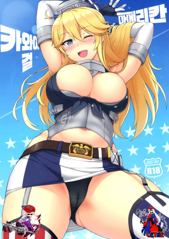 (C90) [Kaki no Tane (Summer)] American Kawaii Girl | 아메리칸 카와이 걸 (Kantai Collection -KanColle-) [Korean] [WestVatican] cover