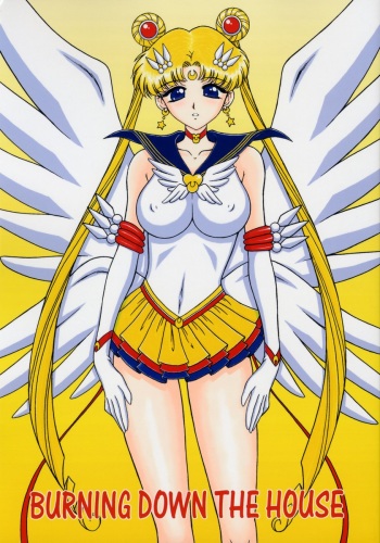 (C66) [BLACK DOG (Kuroinu Juu)] BURNING DOWN THE HOUSE (Bishoujo Senshi Sailor Moon) [Korean] cover