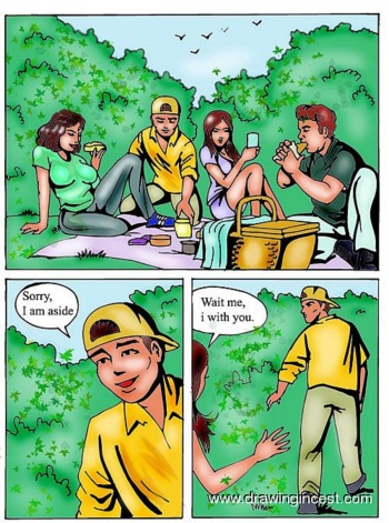 A Wonderful Picnic [English] cover