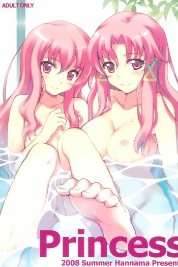 (C74) [Hannama (Serere)] Princess (Zero no Tsukaima) cover