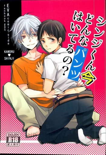 (C85) [100k (Tomoko)] Shinji-kun Ima Donna Pants Haiteru no? (Neon Genesis Evangelion) cover