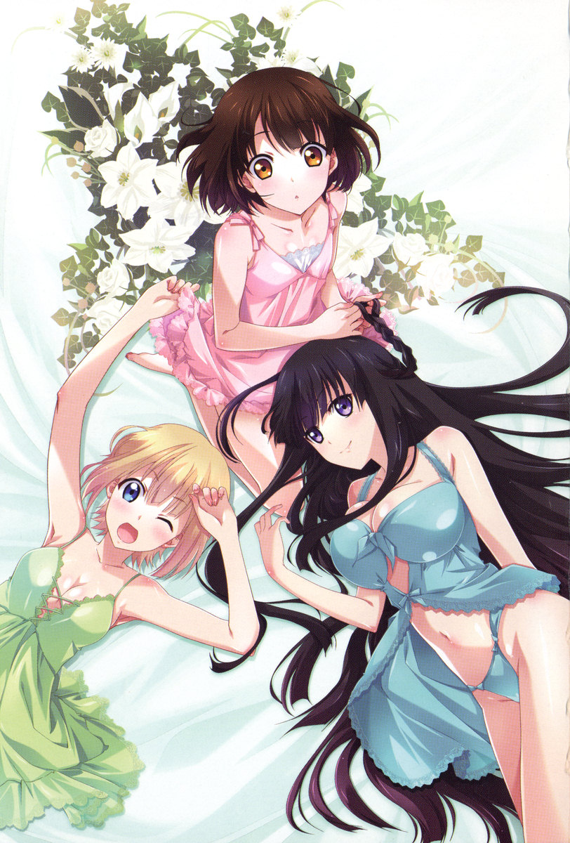 Mucha Ane! Onee-chan to Boku no Love Love Joshikou Seikatsu page 11 full