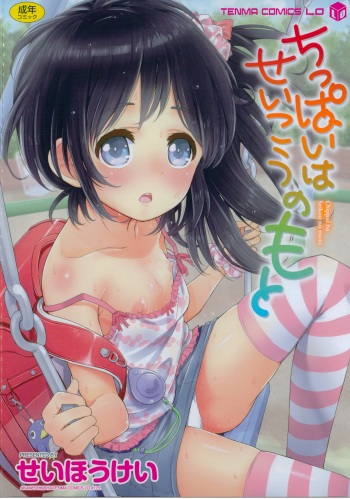 [Seihoukei] Chippai ha Seikou no Moto |  A Flat Chest is the Key for Success [English] [Rin] cover