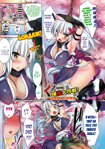 [Booch] Kunoichi Keikaku Daisakusen! Kunoichi Capture! | Поимка куноичи (COMIC Unreal 2011-06 Vol. 31) [Russian] [Илион] cover