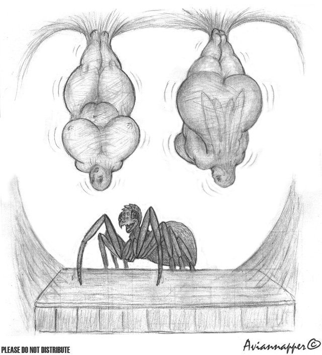 Bondage Peril Spider cobweb fairy trapped page 6 full