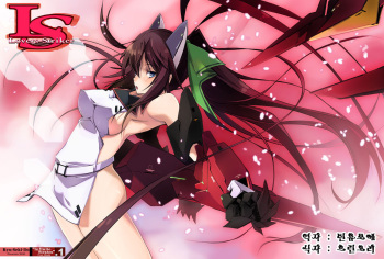 (SC50) [RYU-SEKI-DO (Nagare Hyo-go)] LS Lovers Striker (IS <Infinite Stratos>) [Korean] [Team Arcana] cover