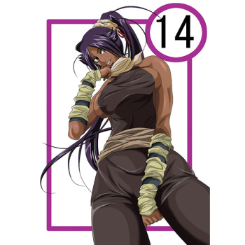 (COMIC1☆4) [Kairanban (Bibi)] Benten Kairaku 14 (Bleach) [Sample] cover