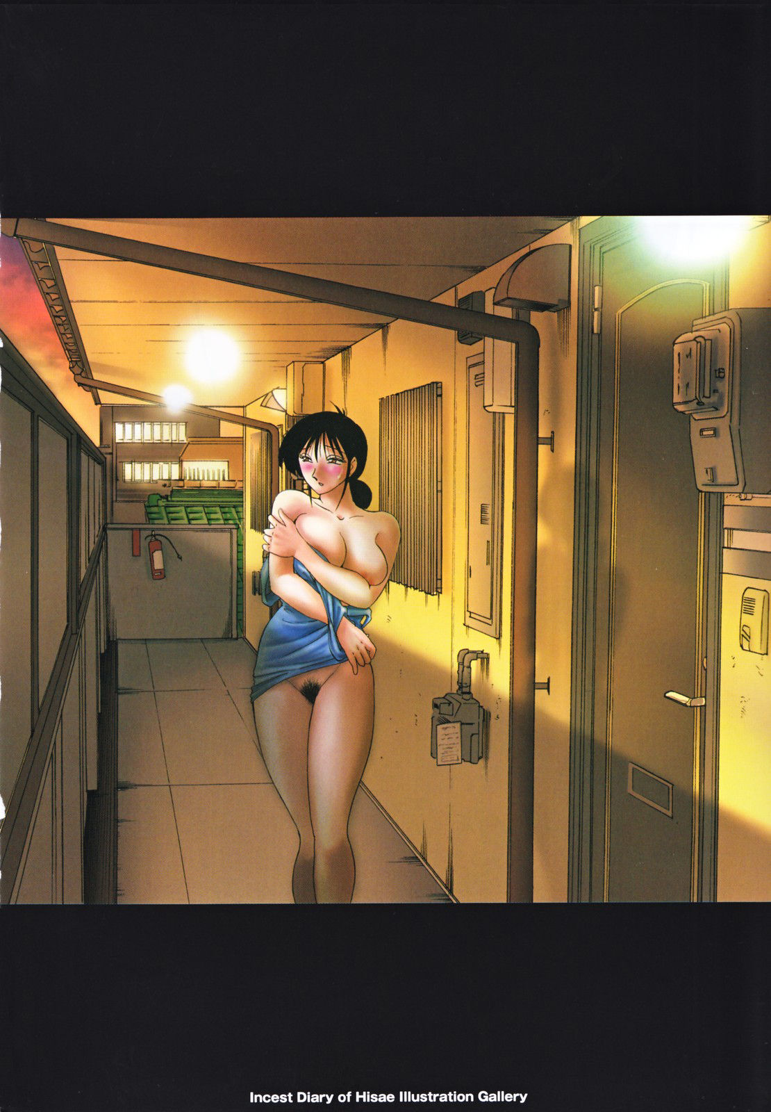 Hisae Haitoku Nikki Jou Kanzenban | 히사에의 배덕일기 완전판 page 12 full