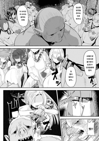 [Taji] Hitoya no Elf (2D Comic Magazine Botebara Sex de Nikubenki Ochi! Vol. 1) [Korean] [Digital] cover