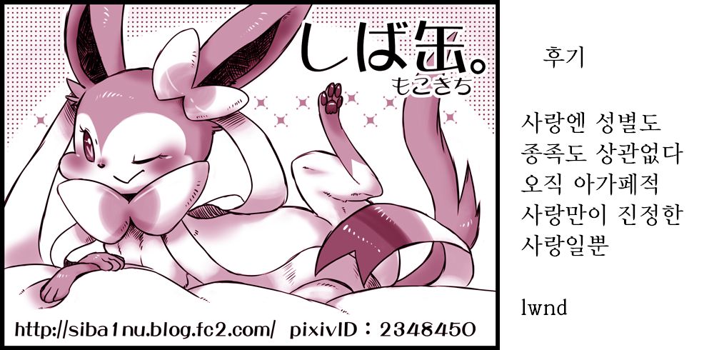 TIN FIA page 12 full