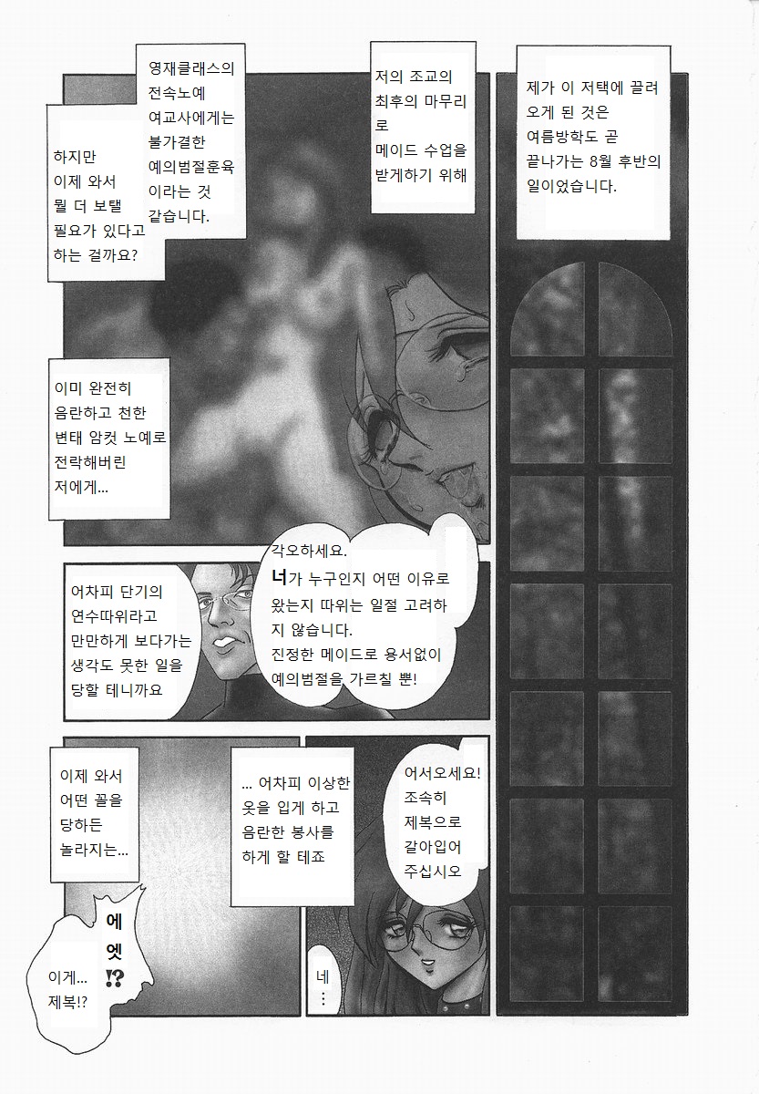 Midarana Kagaijugyou page 11 full