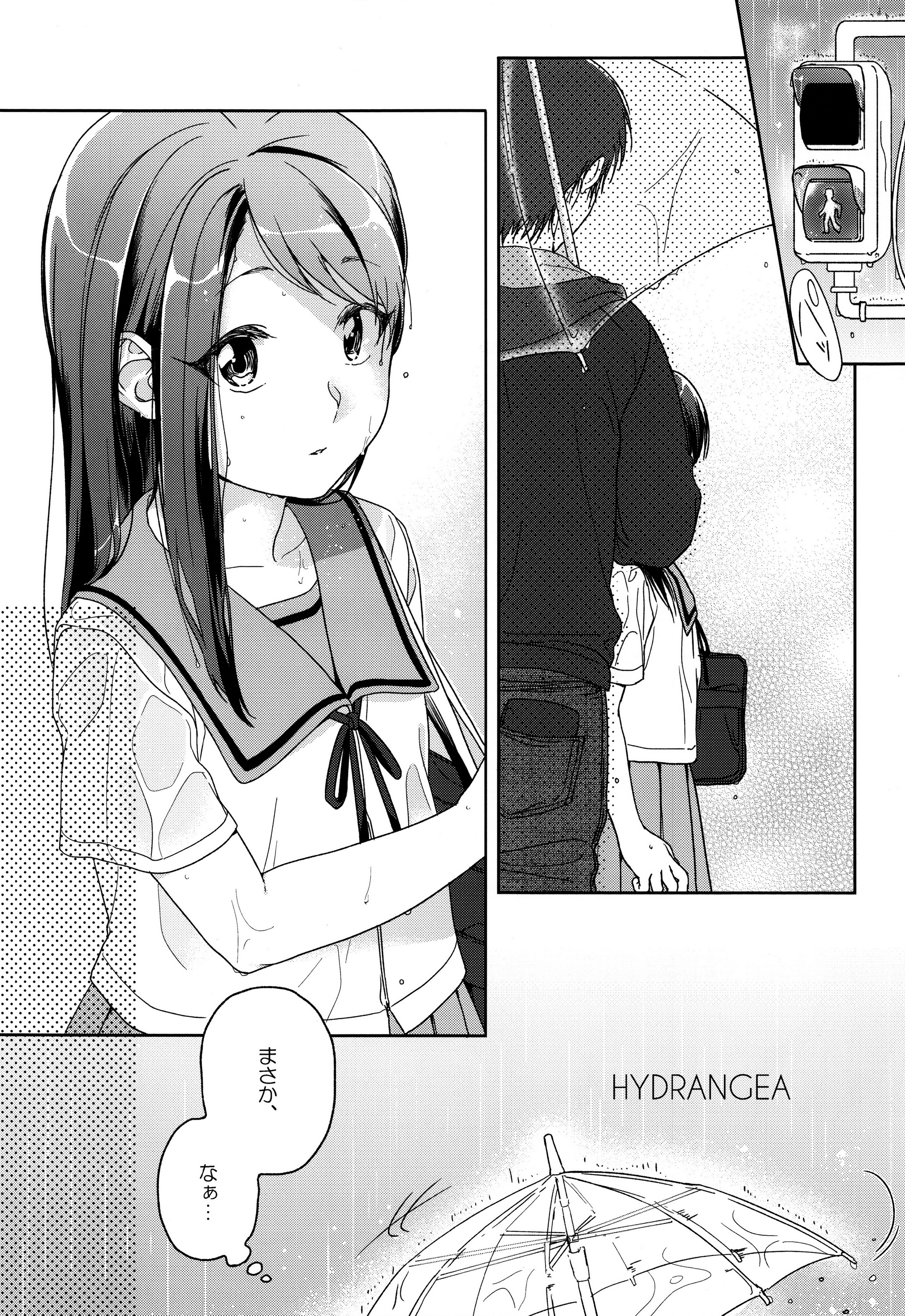 HYDRANGEA page 7 full