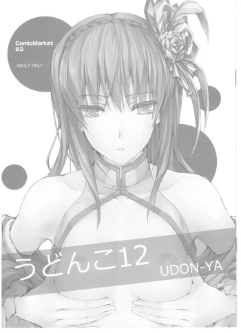 (C83) [UDON-YA (Kizuki Aruchu, ZAN)] Udonko Vol.12 (Monster Hunter) cover