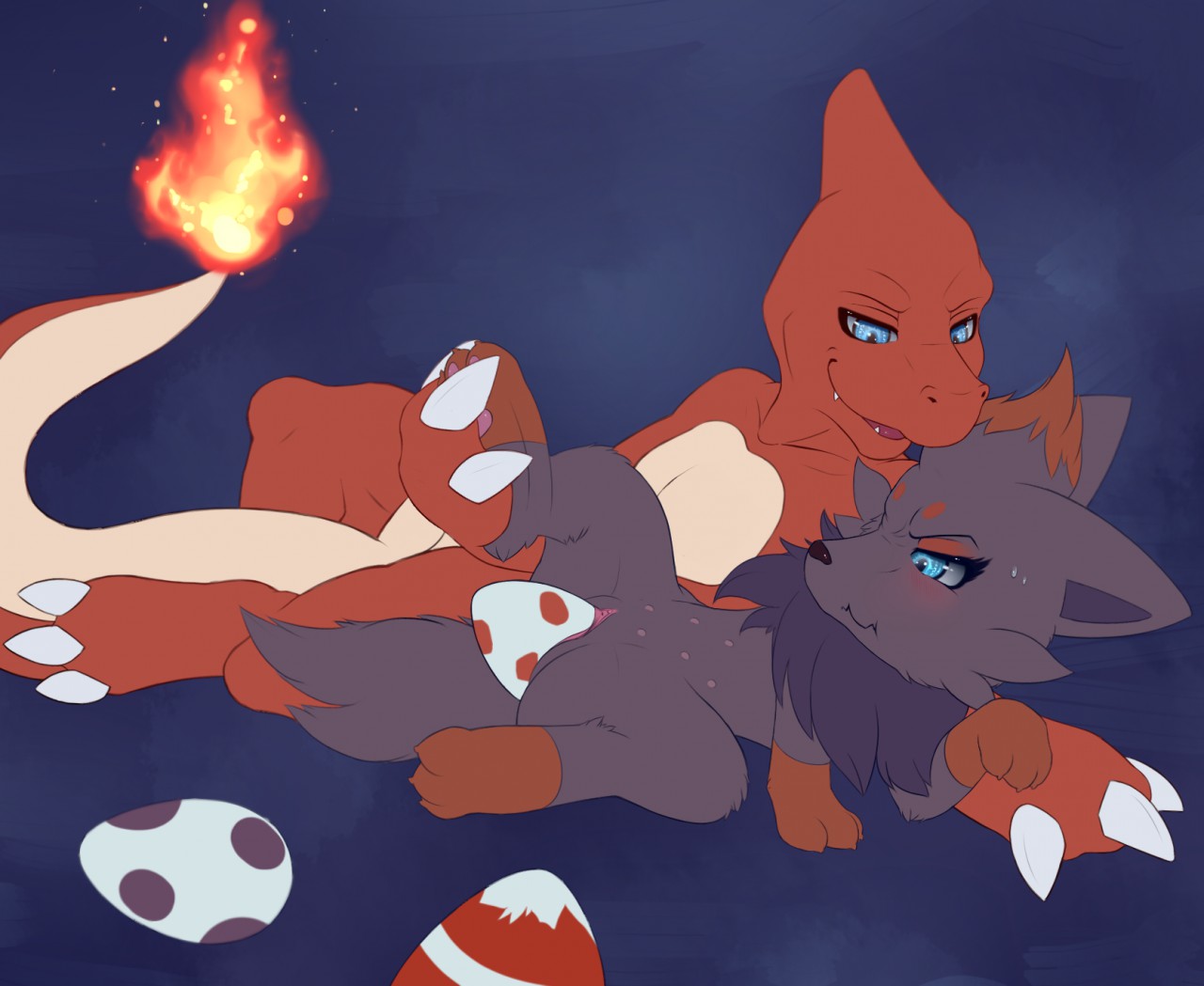 Fire-Fox Application page 6 full