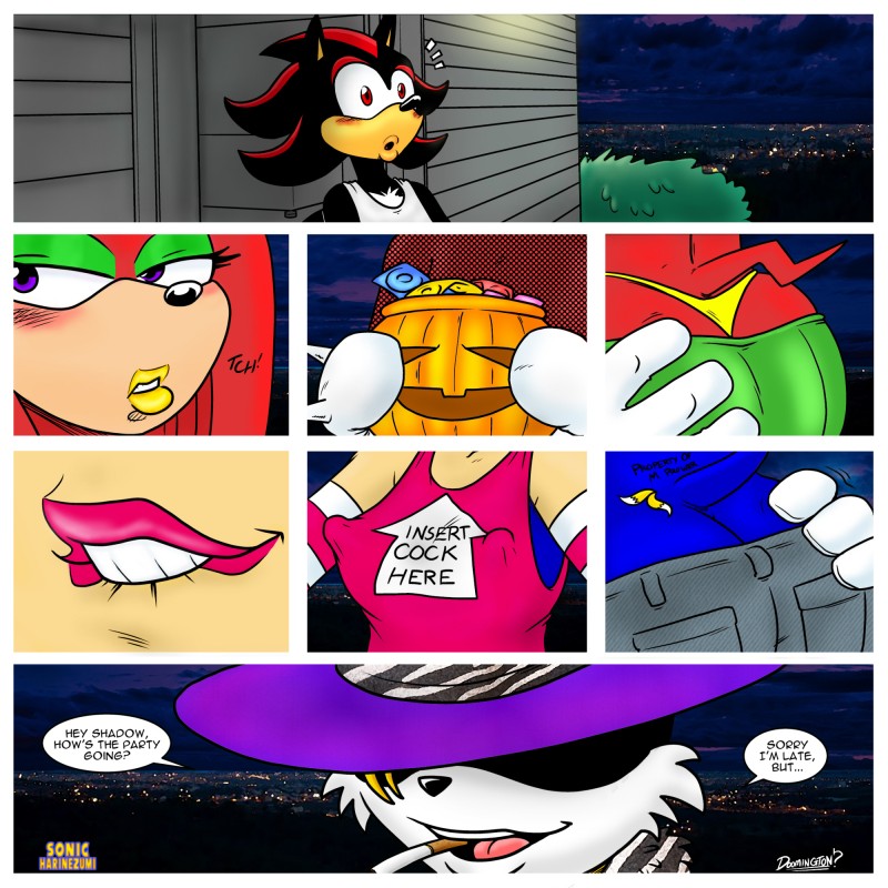ARTIST Sonicharinezumi page 11 full