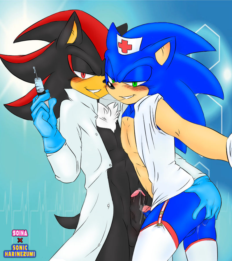 ARTIST Sonicharinezumi page 4 full