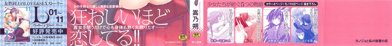 Kanojo to Watashi no Himitsu no Koi - She falls in love with her page 3 full
